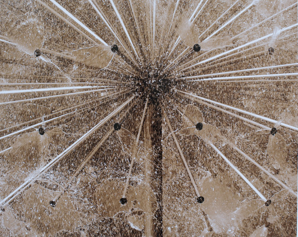 WALDEMAR KOZUB Rustycus 5